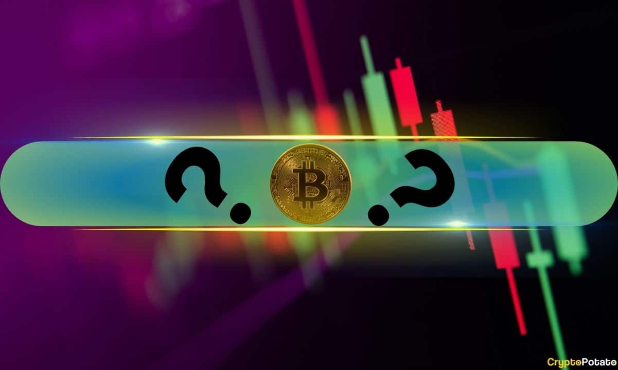山寨币涨幅惊人,BTC价格维持在9.5万美元(市场观察)