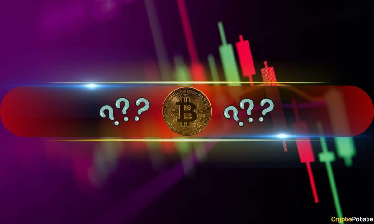 随着比特币滑入95,000美元(市场观察),山寨币将迎来陡峭的校正扩展