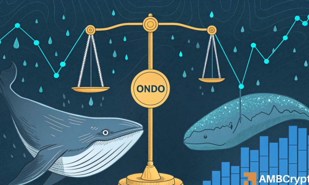 The Impact of Decommissioning the .25 Million Whale Action on Ondo\