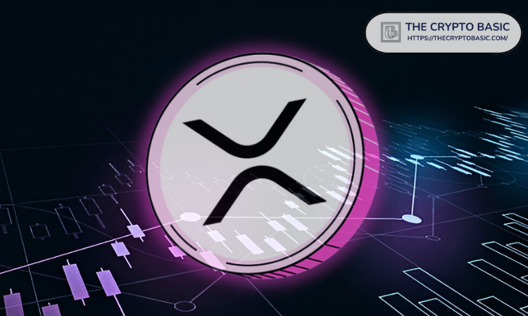 专家忠告：投资加密货币新手应将全部资金投入 XRP