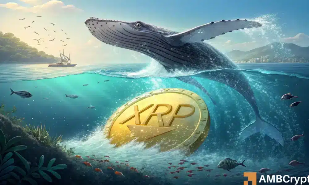 XRP抛售压力导致价格暴跌至3美元以下——反弹前景渺茫?